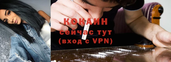 ГАЛЛЮЦИНОГЕННЫЕ ГРИБЫ Нея