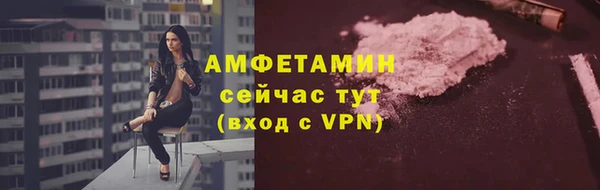 трава Кедровый