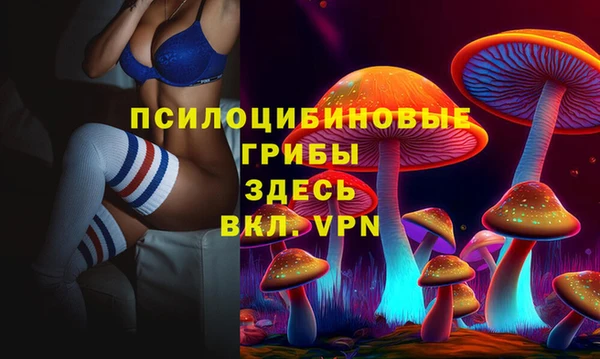 ГАЛЛЮЦИНОГЕННЫЕ ГРИБЫ Нея