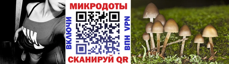 Псилоцибиновые грибы MAGIC MUSHROOMS Пересвет